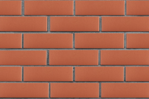 Кирпич облицовочный ЛСР красный гладкий, утолщенные стенки, F-100, 250*120*65 мм