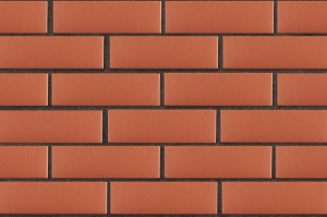 Кирпич облицовочный ЛСР красный гладкий, утолщенные стенки, F-100, 250*120*65 мм