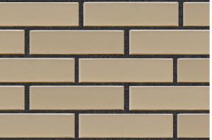 Кирпич облицовочный ЛСР бежевый гладкий 250*120*65 мм